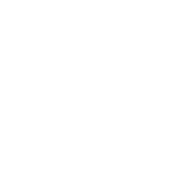 Mrs Asia International 2025